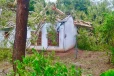 வவுனியாவில் வீட்டின் மீது வீழ்ந்த பாரிய மரத்தால் ஏற்பட்ட அனர்த்தம்