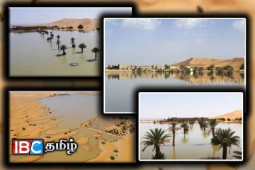 கனமழையால் வெள்ளத்தில் மூழ்கிய சஹாரா பாலைவனம்