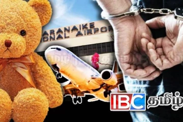 விமான நிலையத்தில் பொம்மையை சோதனையிட்ட அதிகாரிகளுக்கு காத்திருந்த அதிர்ச்சி