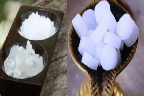 கற்பூரம் ஏன் எளிதில் தீப்பிடிக்கிறது தெரியுமா? பலரும் அறியாத தகவல்! | Why Does Camphor Catch Fire Easily
