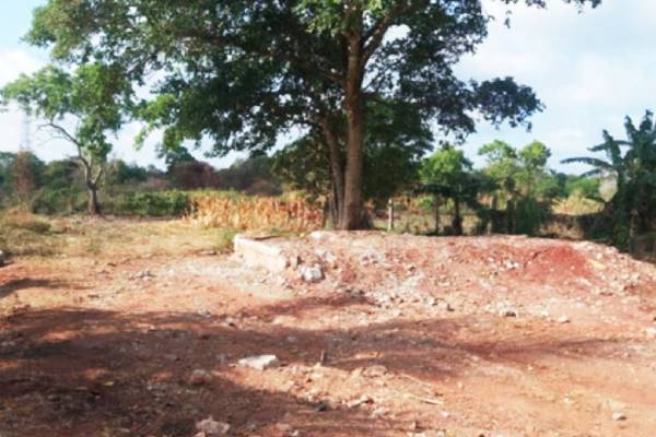 இடித்து தரைமட்டமாக்கப்பட்ட முன்னாள் ஆளுநரின் ஹோட்டல் | Mahipala Herath Illegal Building Demolished