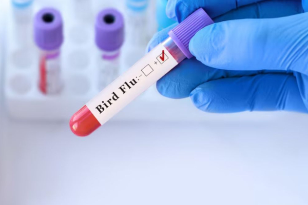 மனிதர்களிடையே பரவி உலகளாவிய சுகாதார நெருக்கடியை ஏற்படுத்தக்கூடிய வைரஸ் குறித்து விஞ்ஞானிகள் எச்சரிக்கை | Indian Scientists Warn