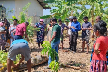 வவுனியாவில் வீட்டு வளாகத்தில் இருந்து 09அடி நீளமான முதலை மீட்பு