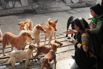 உலகத்தில் தலை சிறந்த தர்மம் எது?