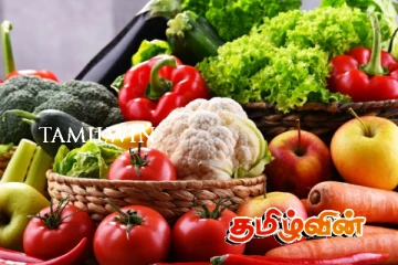 மரக்கறிகளின் விலைகளில் ஏற்பட்டுள்ள மாற்றம்