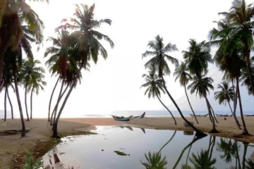 வங்கக்கடலில் ஏற்பட்டுள்ள தாழமுக்கம்: கடற்தொழிலாளர்கள் பாதிப்பு (Photos)