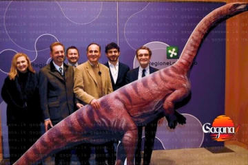 වසර මිලියන 210ක් පස්සේ හම්බුන අනපේක්ෂිත තෑග්ගක්