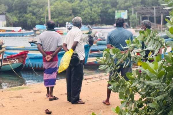 மன்னாரில் கரையோர பகுதிகளில் கடல் நீர்; வாழ்வாதாரம் இழந்த மீனவர்கள் | Seawater Inundates Coastal Areas In Mannar