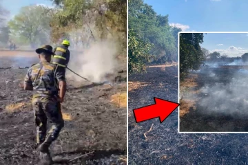 வவுனியாவில் பரவிய காட்டுத் தீ: கட்டுப்பாட்டுக்குள் கொண்டு வந்த விமானப்படை