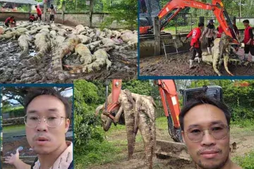 100 முதலைகளை கொன்று குவித்த உரிமையாளர் - இப்படி ஒரு காரணமா?