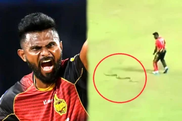 கிரிக்கெட் மைதானத்தில் நுழைந்த பாம்பு; தப்பித்த இலங்கை வீரர்