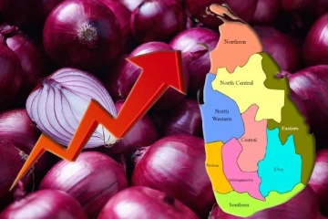 வெங்காயத்தின் விலை தொடர்பில் வெளியான அதிர்ச்சி தகவல்