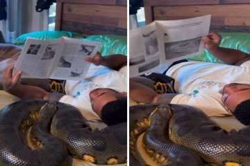 அனக்கோண்டா பாம்புடன் ஓய்வெடுக்கும் நபர்... மிரளவிடும் காணொளி