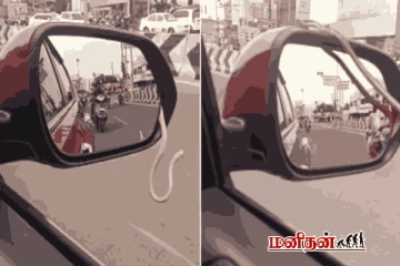 கார் கண்ணாடியில் இருந்து நழுவிச் சென்ற பாம்பு - வைரல் காணொளி