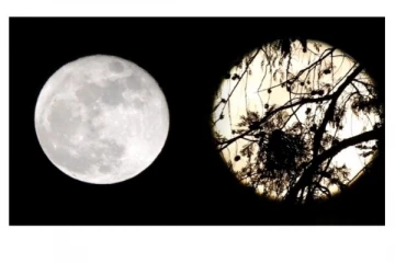 கொடைக்கானலில் வழக்கத்தை விட மிக பெரிதாக ஜொலித்த நிலா - அபூர்வ நிகழ்வு