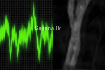 ගම්මානයක් බියෙන් තැති ගත් මහ රෑට පොළොව යටින් ඇහුන අමුතු අත්භූත ශබ්දය - අන්තිමට හෙළි වුණ දේ.. (VIDEO)