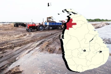 மன்னார் தீவின் அழிவுக்கு ஆதரவு வழங்கும் இலங்கை அரசு: முன்வைக்கப்பட்டுள்ள குற்றச்சாட்டு