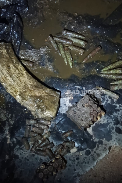 மட்டக்களப்பில் நிலத்தில் புதைக்கப்பட்டிருந்த நிலையில் ஆயுதங்கள் மீட்பு | Gun Bullets Recovered Buried In Batticaloa