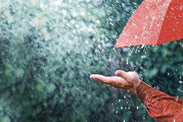 மழை பெய்யும் போது வரும் மண்வாசனை ஏன் நமக்கு பிடிக்கிறது? பலரும் அறியாத தகவல் | Why Does It Smell Earthy When It Rains மழை பெய்யும் போது வரும் மண்வாசனை ஏன் நமக்கு பிடிக்கிறது? பலரும் அறியாத தகவல் | Why Does It Smell Earthy When It Rains