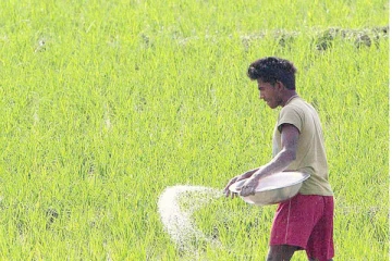 தனியார் துறையினருக்கு  உர  இறக்குமதிக்கு  அனுமதி!