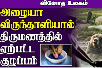 திருமண வரவேற்பில் அழையா விருந்தாளியாக புகுந்த கரடி…. ஏமாற்றத்துடன் வெளியேறிய சோகம்!