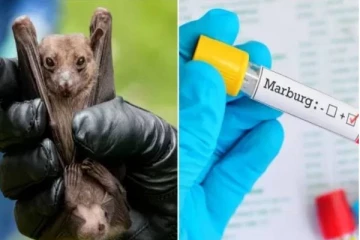 கொரோனாவுக்கு அடுத்து உலகை அச்சுறுத்தும் மார்பர்க் வைரஸ்! பாதிக்கப்பட்ட முதல் 2 பேரும் மரணம்.. எந்த நாட்டில்?