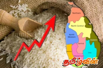 அரிசி விலை அதிகரிப்பு: அரசாங்கத்தை குற்றஞ்சாட்டும் அமைச்சர்