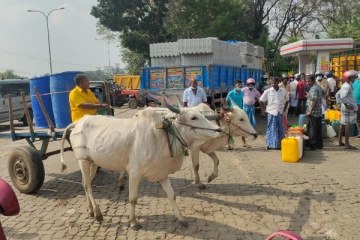 எரிபொருள் பெற்றுக்கொள்ள கொள்கலன்களுடன் மாட்டுவண்டியில் சென்ற பிரதேச சபை உறுப்பினர் (Video)