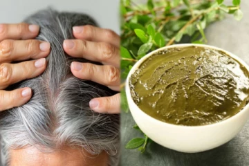 நரைமுடியை மீண்டும் கருப்பாக்க மருதாணி பொடியுடன் இந்த ஒரு பொருள் போதும்