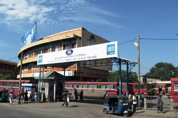 new year Special service