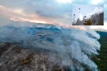 உலக பாரம்பரிய பூங்காவில் ஏற்பட்ட காட்டுத்தீயினால் 600 ஹெக்டர் எரிந்து சேதம்! அண்டை நாடுகளின் உதவிய பெற முடிவெடுத்த அரசு