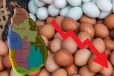 நாட்டில் முட்டை விலைகளில் பாரிய வீழ்ச்சி