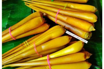 பனங்கிழங்கால் இத்தனை நன்மைகளா..!