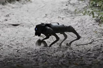 போர்க்களத்தில் ரோபோ நாய்கள்.. உக்ரைன் வெளியிட்டுள்ள புதிய ஆயுதம்