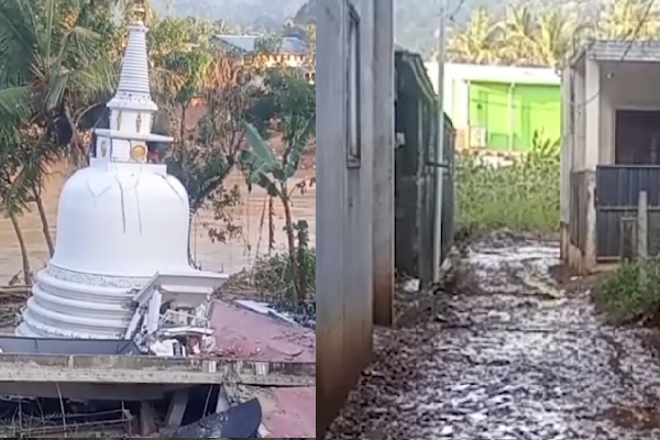 இலங்கையை புரட்டிப்போட்ட புயல்! நீரில் தவித்த பாட்டியை காப்பாற்றி ஒருவரின் உருக்கமான கதை | Story Of A Man Who Saved His Grandmother