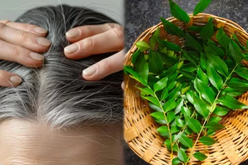 நிரந்தரமாக நரைமுடியை கருப்பாக மாற்ற உதவும் இலை.., எப்படி பயன்படுத்துவது?