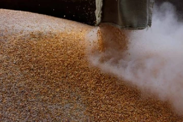 உக்ரைன் தானியங்களை திருடி விற்று அந்நியச் செலவாணியை அதிகரிக்கும் ரஷ்யா!