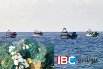 இந்திய இழுவைப் படகுகளால் யாழ்ப்பாண கடற்றொழிலாளர்களுக்கு ஏற்பட்ட பாரிய இழப்பு