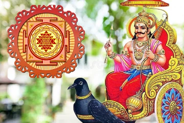 இந்த ஒரு செடி வீடுகளில் இருந்தால் போதும்.. சனி தோஷம் நொடியில் விலகும்