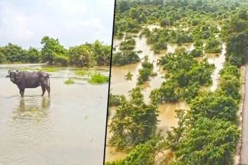 பொலன்னறுவை நீர்த்தேக்கங்களின் அதிகரித்த நீர்மட்டம் : பொதுமக்கள் பாதிப்பு