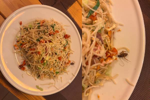 யாழில் ஹோட்டல் ஒன்றில் கரப்பான் பூச்சியுடன் வழங்கப்பட்ட நூடில்ஸ்! | Noodles Served With Cockroaches At A Hotel Jaffna