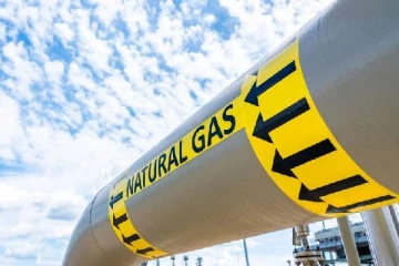 ரஷ்ய எரிவாயு நிறுத்தம்... ஐரோப்பிய நாடொன்றில் மூடப்படும் தொழிற்சாலைகள்