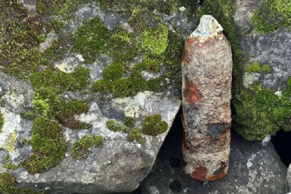 சுவிஸ் நீர்நிலை ஒன்றில் வெடிகுண்டு கண்டுபிடிக்கப்பட்டதால் பரபரப்பு | Ww1 Shell Found At Bains De Paquis