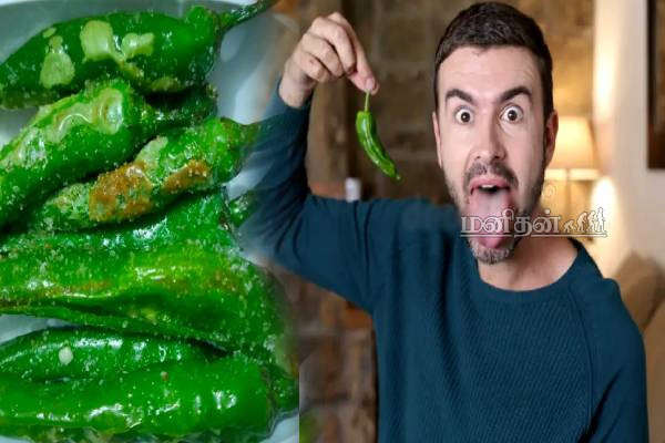 ஆண்களே இனி ஒதுக்காதீங்க.. பச்சை மிளகாய் சாப்பிட்டால் இப்படியெல்லாம் நடக்குமா? | Green Chilli Benefits For Man