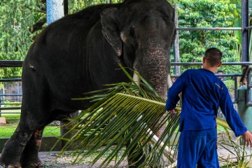 முத்துராஜாவால் இலங்கைக்கு பெரும் அபகீர்த்தி !