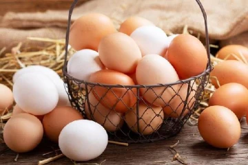 முட்டைக்கு தட்டுப்பாடு ஏற்படும் அபாயம்