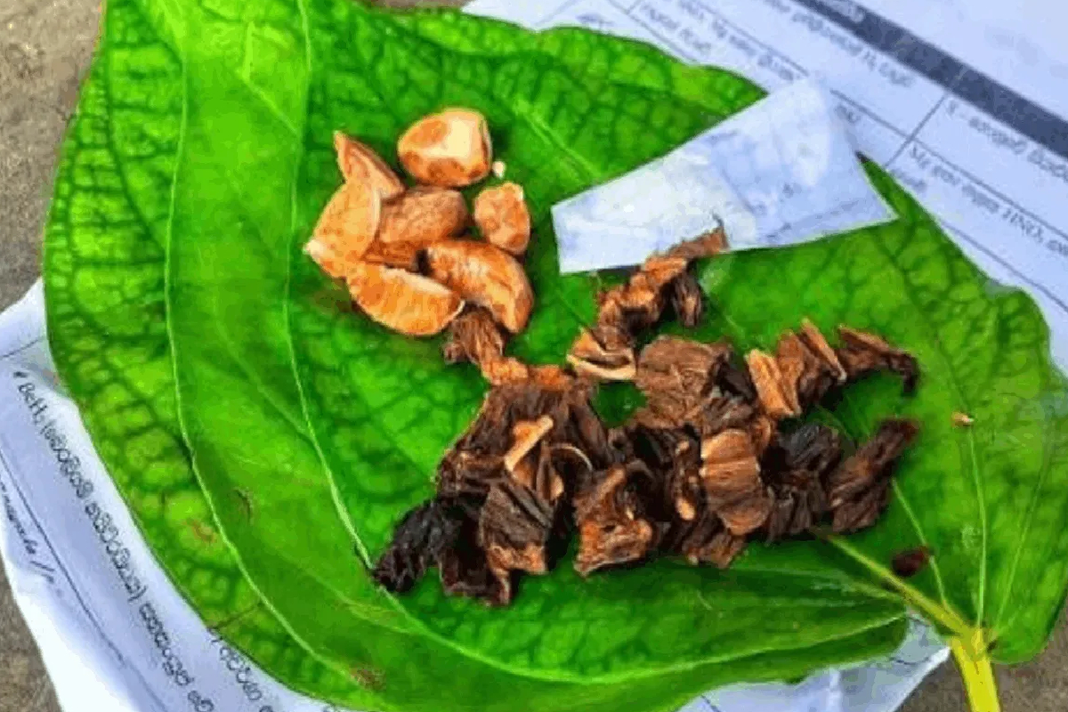புகையிலை விற்பனை செய்பவர்களுக்கு எதிராக கடும் நடவடிக்கை | Strict Action Against Tobacco Betel Sellers
