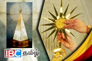 விலை உயர்ந்த நத்தார் மரம் உள்ள நாடு எது தெரியுமா....!