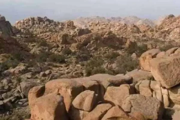 Optical Illusion: 7 நொடிக்குள் உங்களுக்கு மலையில் இருக்கும் ஆடு ஒன்றை கண்டுபிடிக்க முடியுமா?