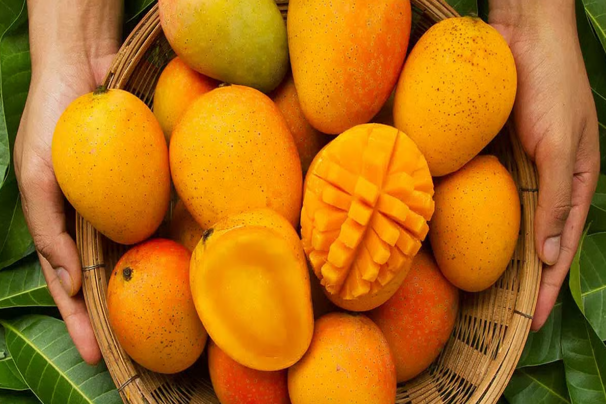 இந்த நேரங்களில் மாம்பழம் சாப்பிடாதீர்கள் ; பல பிரச்சினைகள் ஏற்படும் | Avoid Eating Mangoes At These Times